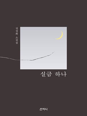 cover image of 실금 하나